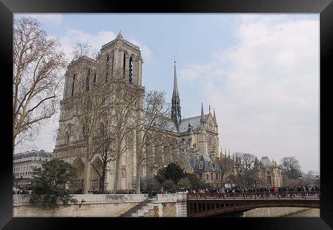 Notre Dame Framed Print by neal frost