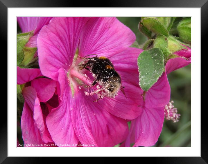 The Buzzing Bee Framed Mounted Print by Nicola Clark