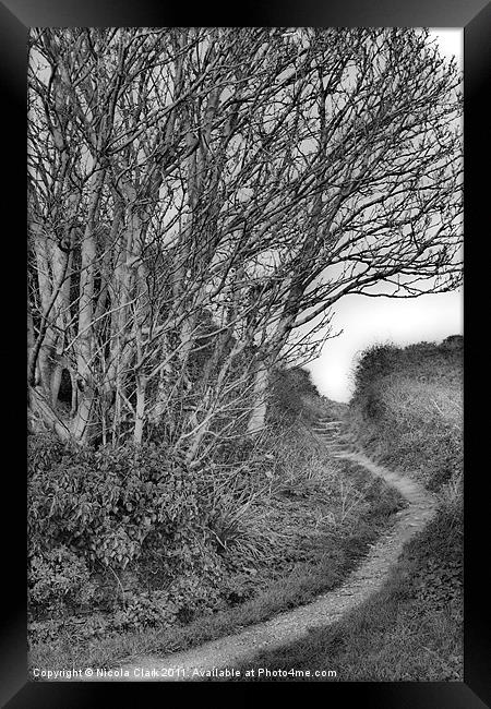 Woodland Path Framed Print by Nicola Clark