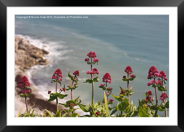 Red Valerian Framed Mounted Print by Nicola Clark