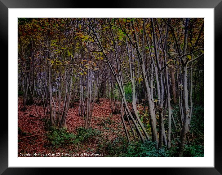 Autumn Woods Framed Mounted Print by Nicola Clark