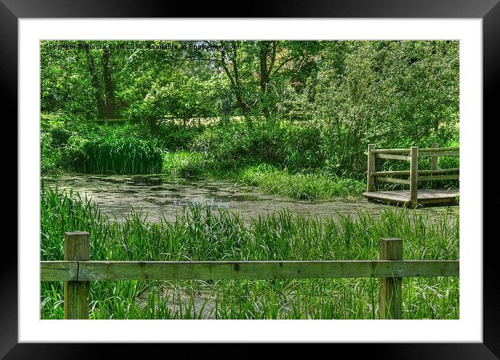 The Pond Framed Mounted Print by Nicola Clark