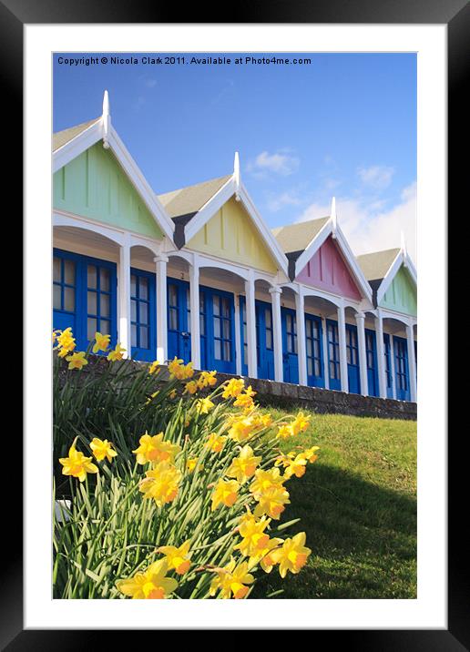 Beach Huts in Spring Framed Mounted Print by Nicola Clark