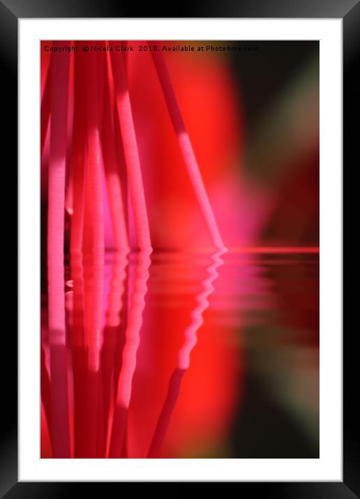 Fuchsia Pink Framed Mounted Print by Nicola Clark