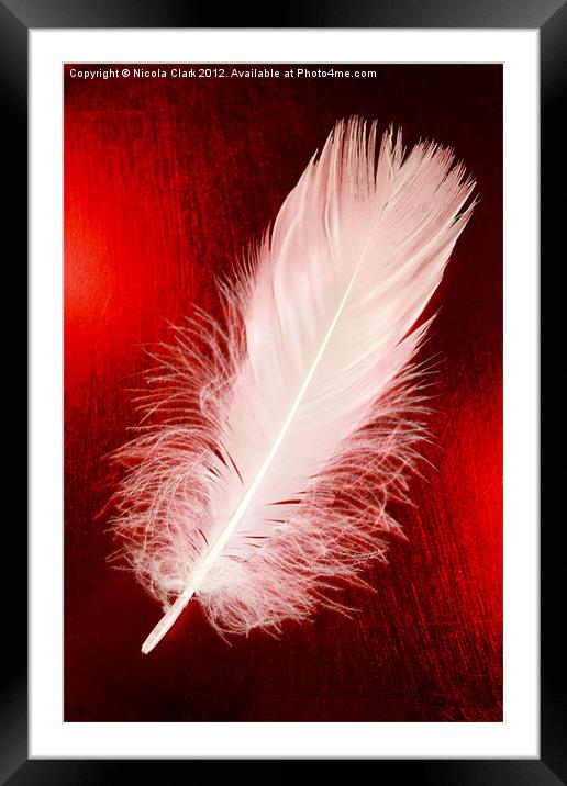 White Feather Framed Mounted Print by Nicola Clark