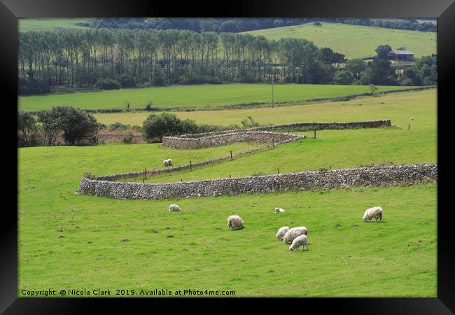 Sheep Farming Framed Print by Nicola Clark