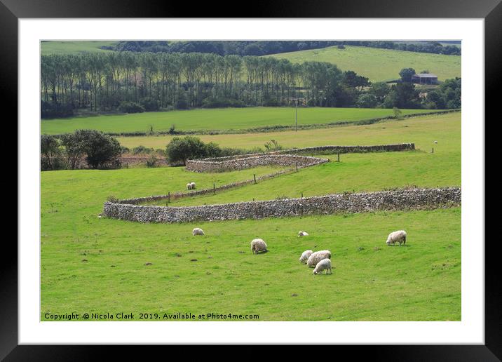 Sheep Farming Framed Mounted Print by Nicola Clark