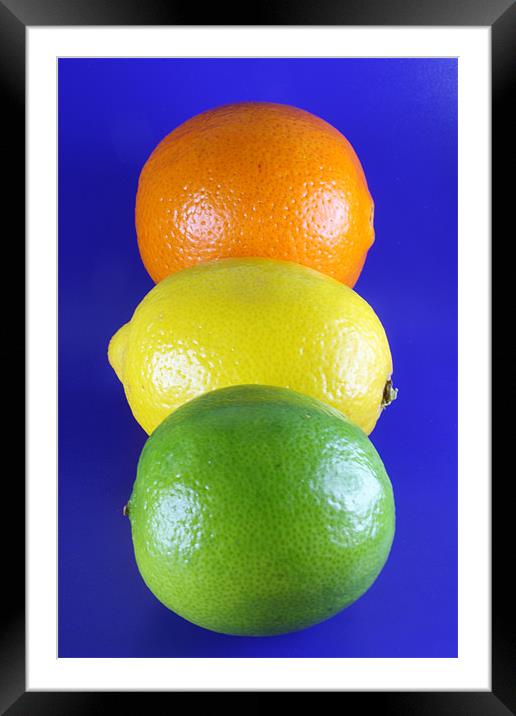 Orange Lemon and Lime Framed Mounted Print by Nicola Clark
