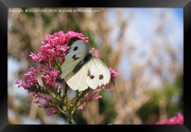 Large White Framed Print by Nicola Clark