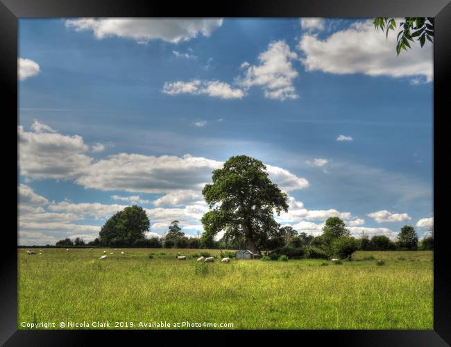 Rural Wiltshire Framed Print by Nicola Clark