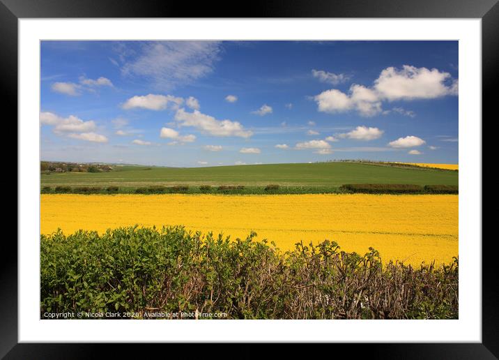 April In Dorset Framed Mounted Print by Nicola Clark