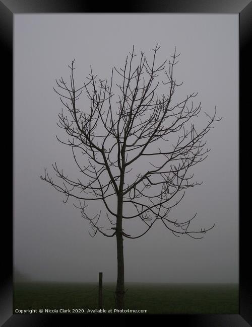 Rowan In The Winter Fog Framed Print by Nicola Clark