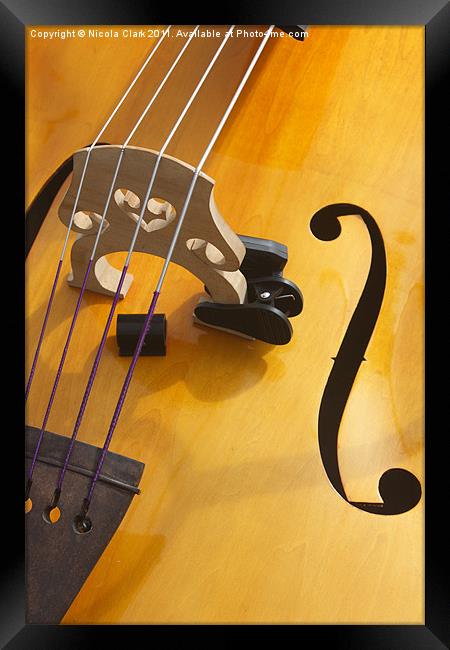 Double Bass Framed Print by Nicola Clark
