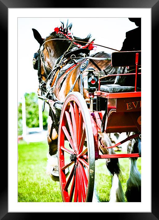Horse & Carriage Framed Mounted Print by tony golding