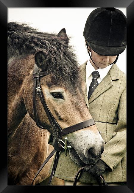 Exmoor Pony Framed Print by tony golding