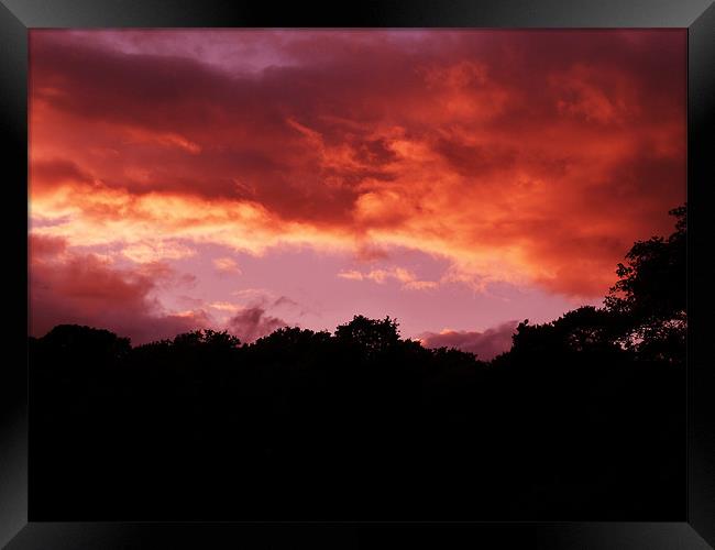 The Red Sky Framed Print by William Coulthard