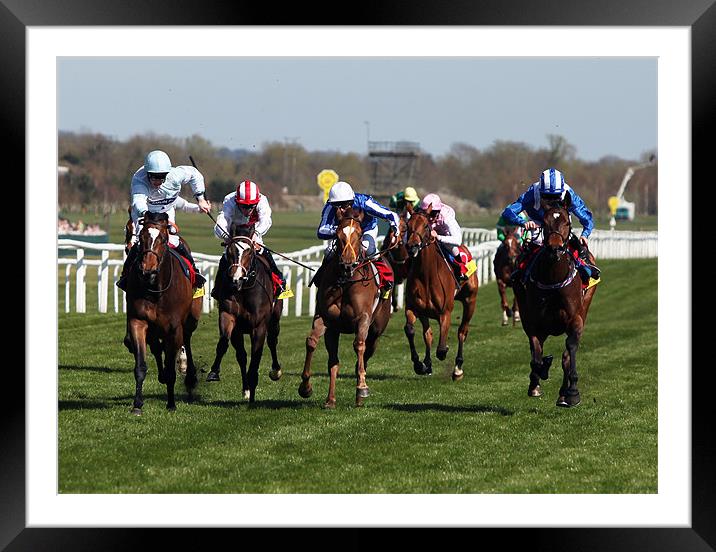 Horse Racing Framed Mounted Print by Michael Pound