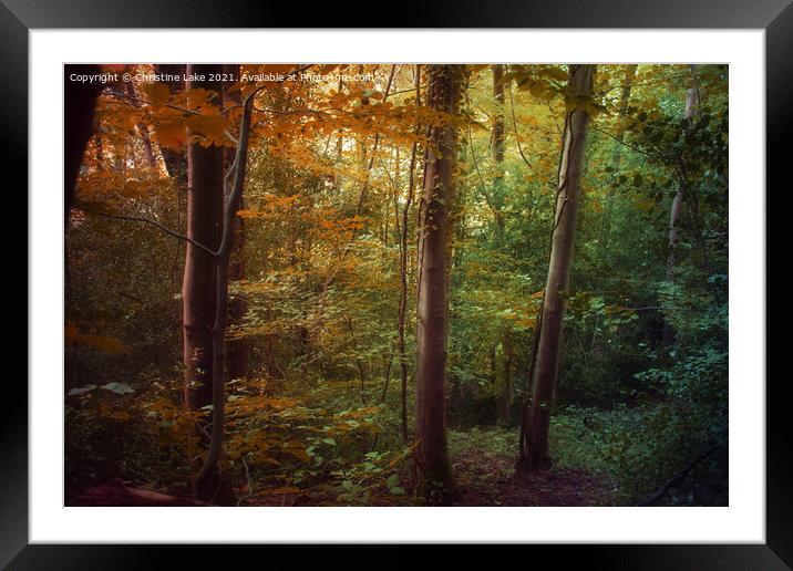 Natures Dream 2 Framed Mounted Print by Christine Lake