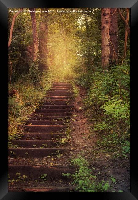 Follow The Steps Framed Print by Christine Lake