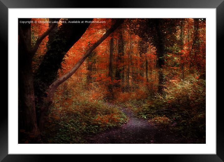 The Magic Of Autumn Framed Mounted Print by Christine Lake