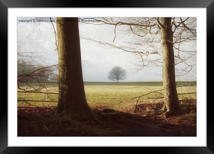 Countryside View Framed Mounted Print by Christine Lake