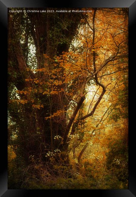 Flowing Amber Framed Print by Christine Lake
