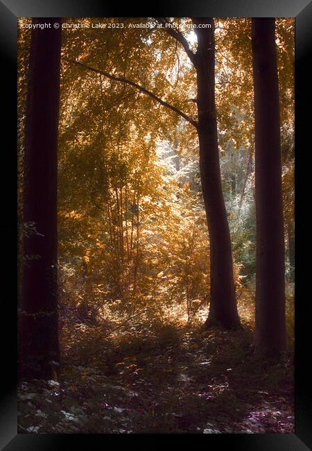 The Edge Of Autumn Framed Print by Christine Lake