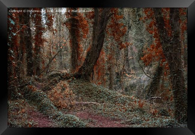 Twilight Forest Framed Print by Christine Lake