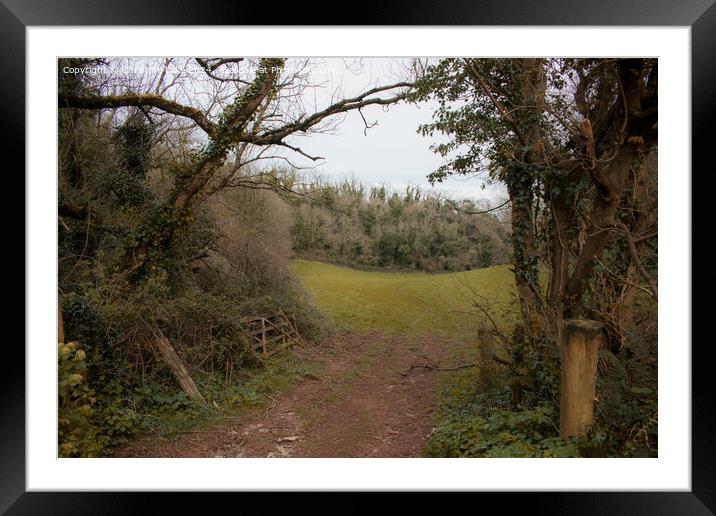 The Field Beyond Framed Mounted Print by Christine Lake