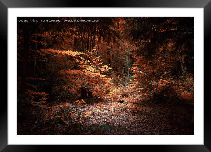 Natures Solitude      Abbots Leigh, Bristol, UK Framed Mounted Print by Christine Lake