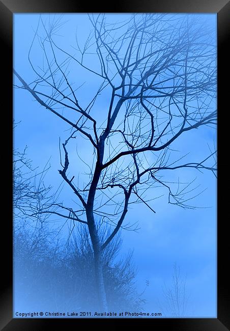 A shade of Blue Framed Print by Christine Lake