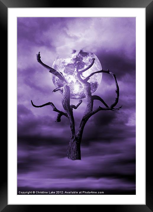 Purple Dreams Framed Mounted Print by Christine Lake