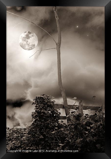 Midnight Stroll Framed Print by Christine Lake