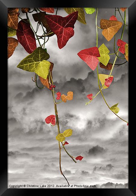 Colour Me Autumn Framed Print by Christine Lake