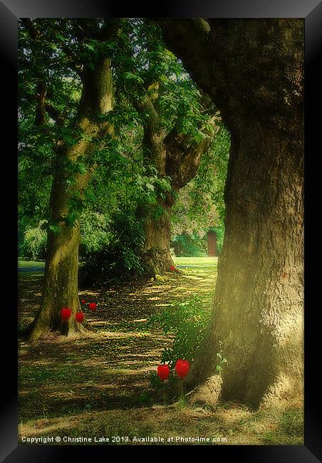 Pathway to Enchantment Framed Print by Christine Lake