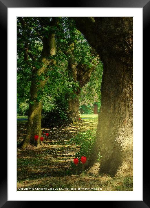 Pathway to Enchantment Framed Mounted Print by Christine Lake