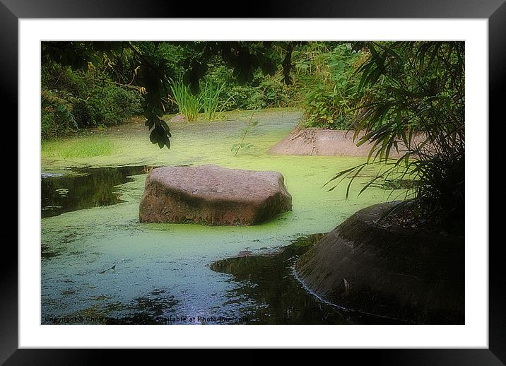 Tranquility Framed Mounted Print by Christine Lake