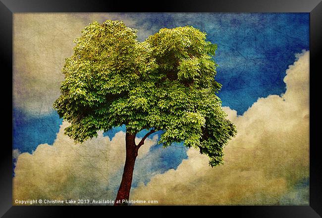 Pause For Thought 2 Framed Print by Christine Lake