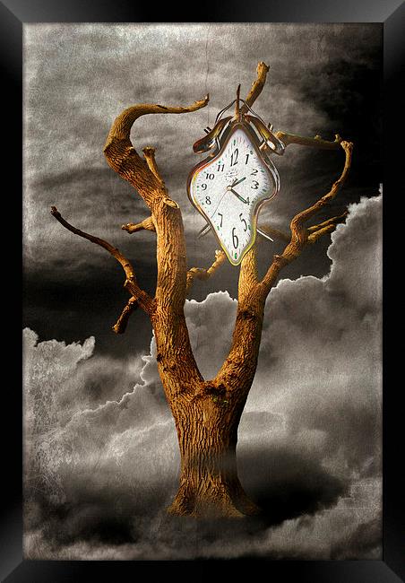 Season of Time Framed Print by Christine Lake