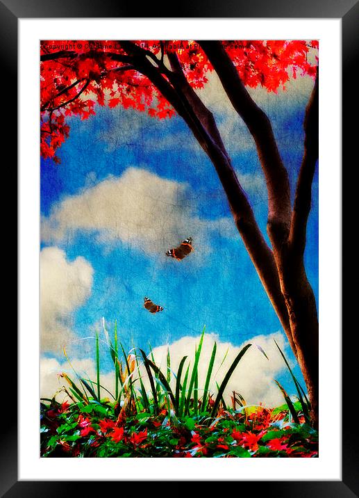 Dreaming of Summer Framed Mounted Print by Christine Lake