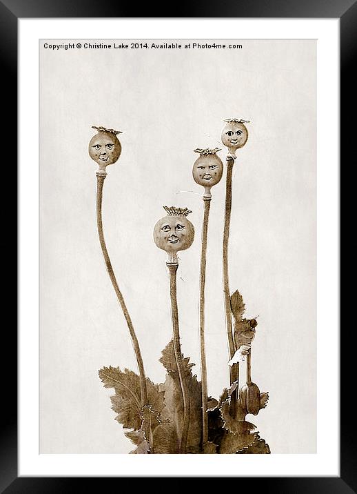 Poppy Heads Framed Mounted Print by Christine Lake