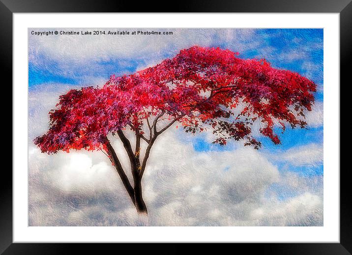  Red Tree in Summer Framed Mounted Print by Christine Lake