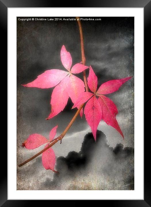  Last Leaves Of Autumn Framed Mounted Print by Christine Lake
