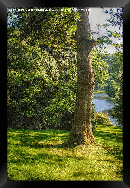  A Walk in the Park Framed Print by Christine Lake