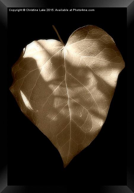  Ivy Heart Framed Print by Christine Lake