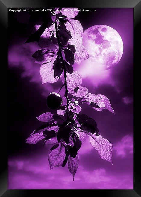  Purple Dream Framed Print by Christine Lake