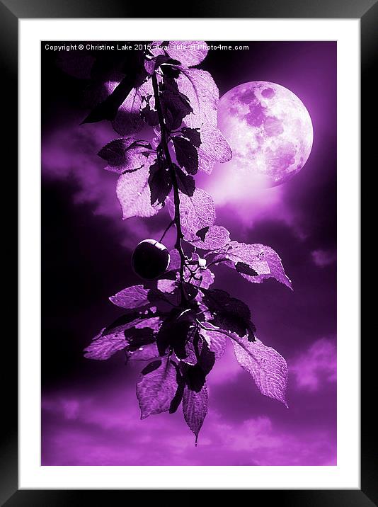  Purple Dream Framed Mounted Print by Christine Lake