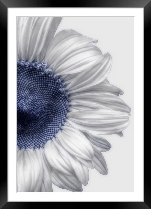  A Touch Of Blue Framed Mounted Print by Christine Lake