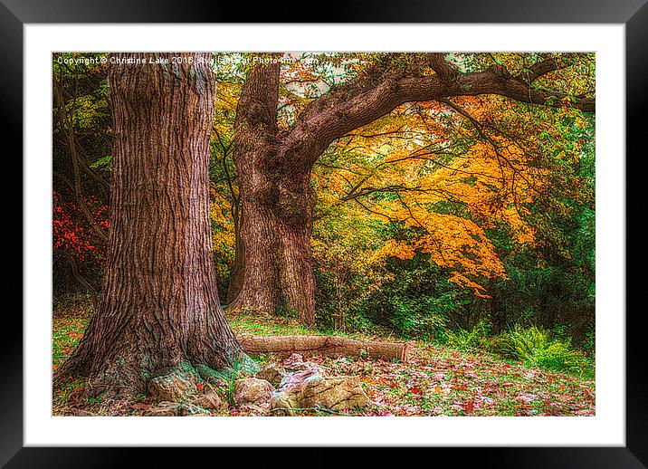 Trip To Autumn Framed Mounted Print by Christine Lake