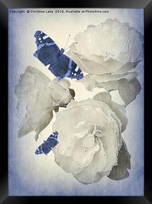 Summertime Blues Framed Print by Christine Lake